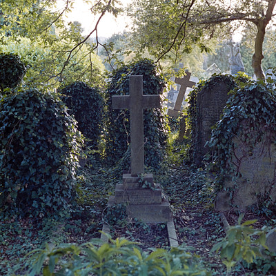 The image features a cemetery with several old, worn-down tombstones. There are at least 12 tombstones visible in the scene, some of which have vines growing on them. A large cross is also present in the middle of the graveyard, surrounded by the tombstones.
