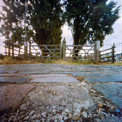 The image features a dirt road with a stone fence on either side. There are two trees in the scene, one near the left side of the road and another towards the right. A gate is also present, located between the two trees.