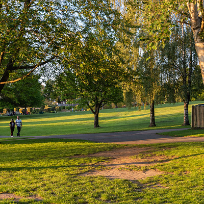 The image features a park with several trees and people walking around. There are at least 12 individuals in the scene, some of them closer to the foreground while others are further away. They appear to be enjoying their time outdoors, possibly taking a leisurely walk or engaging in other activities.