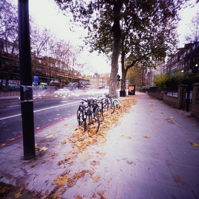 The image features a tree-lined sidewalk with several bicycles parked along the curb. There are at least 12 bikes in total, some of which are leaning against a pole or resting on the ground. A few cars can be seen passing by on the street, and there is a traffic light nearby.