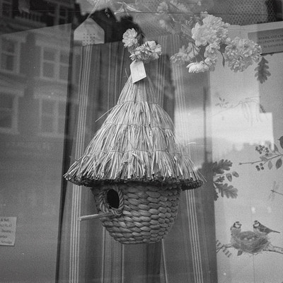 The image is a black and white photograph of an outdoor scene featuring a birdhouse hanging from the ceiling. The birdhouse has a straw roof, giving it a natural appearance. In addition to the birdhouse, there are several potted plants scattered throughout the scene, adding greenery to the environment.