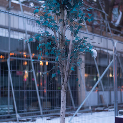 The image features a small tree in a pot, placed on top of a brown table. The tree is adorned with blue leaves and has snow covering its branches. It appears to be a decorative piece, possibly for the winter season.