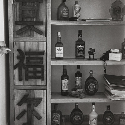 The image features a wooden shelf filled with various liquor bottles. There are at least 13 bottles of different sizes and shapes, arranged neatly on the shelves. Some of these bottles have Asian writing on them, indicating that they may be from an Asian country or region.