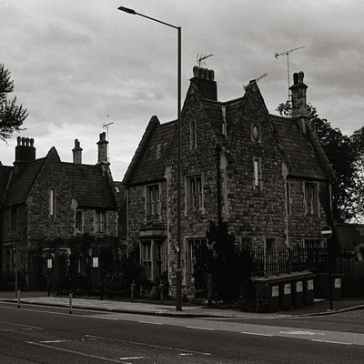 The image is a black and white photo of two large, old stone houses situated on the side of a street. Both houses have steeples on their roofs, giving them an old-fashioned appearance. There are several trees in front of the houses, adding to the charm of the scene.