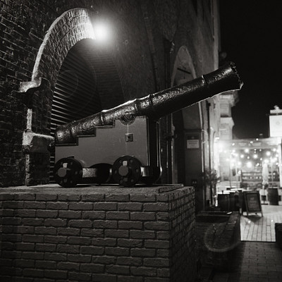 The image is a black and white photo of an old cannon sitting on top of a brick wall. It appears to be in the middle of a city, as there are several potted plants nearby, some placed close together. A few people can also be seen in the background, possibly admiring or walking by the cannon.