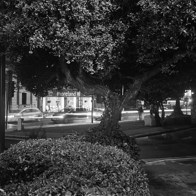 The image is a black and white photo of a tree in the middle of an intersection. There are several cars parked around the area, with one car on the left side of the scene, another further back to the right, and two more cars closer to the center of the intersection. There are also multiple people visible in the image, some walking or standing near the tree and others scattered throughout the scene.