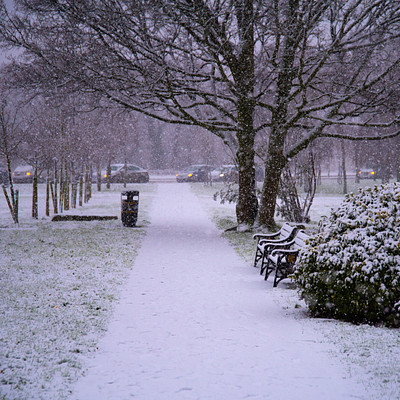 The image depicts a snowy park with several benches and trees. There are three benches in the scene, one on the left side of the path, another near the center, and the third further to the right. A trash can is also visible on the left side of the path.