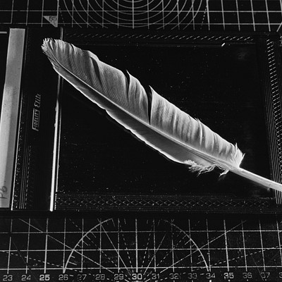 The image is a black and white photo of an ostrich feather, which appears to be the quill of an ostrich. It is placed on top of a piece of paper or cardboard that has a grid pattern drawn on it. The feather is positioned in such a way that it covers most of the paper, creating a striking contrast between the black and white feather and the white background.