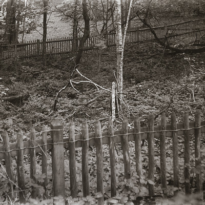 The image is a black and white photo of a fence in the woods. The fence is made up of wooden posts, and it appears to be old. There are trees surrounding the area, giving it a natural setting.