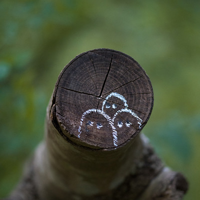 The image features a tree branch with three owls carved into it. Each owl is positioned at different angles, creating an interesting and artistic display on the tree trunk. The owls are placed close to each other, making for a captivating scene in the woods.