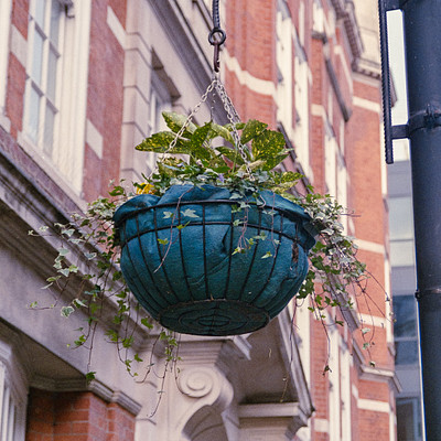 The image features a blue pot hanging from a metal pole, which is attached to the side of a building. The pot contains greenery and flowers, adding a touch of color and life to the scene. In addition to the main pot, there are several smaller potted plants scattered throughout the area, further enhancing the visual appeal of the space.