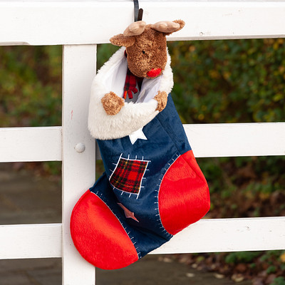 The image features a white fence with a red and blue plaid stocking hanging from it. Inside the stocking, there is a stuffed animal, specifically a teddy bear, placed on top of some fabric. The scene appears to be set outdoors, possibly in a park or garden setting.