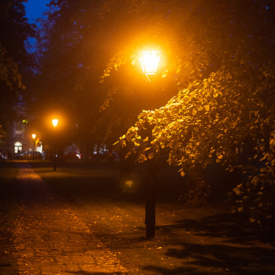 The image depicts a nighttime scene with a street light illuminating the area. A tree is located near the center of the scene, and another one can be seen further to the right. There are two cars parked on the side of the road, one closer to the left edge of the image and the other slightly behind it.