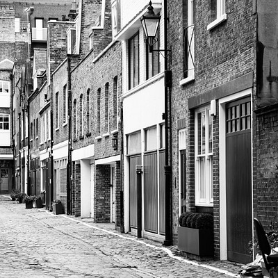 The image is a black and white photo of an alleyway between two buildings. The alley appears to be made of cobblestone, giving it a charming and historic appearance. There are several potted plants placed along the sidewalk, adding some greenery to the scene.
