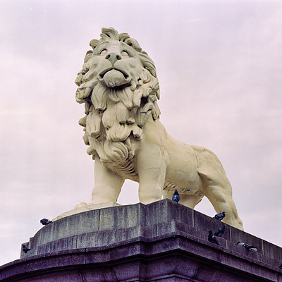 The image features a large, white lion statue sitting on top of a stone pedestal. The lion statue is positioned in the middle of the scene and appears to be the main focus of the photo. There are several birds perched around the base of the statue, with some located near the front and others further back.