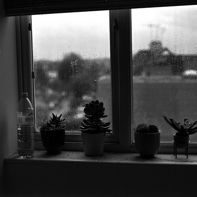 The image is a black and white photo of a window sill with several potted plants. There are three pots in total, each containing different types of cacti. One pot is placed on the left side of the window, another one in the middle, and the third one on the right side.