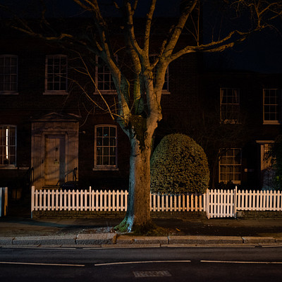 The image features a tree in the middle of a white picket fence, located on a street at night. The tree is surrounded by several windows on a brick building, creating an interesting contrast between nature and urban architecture. The scene appears to be captured during winter, as there are no leaves on the tree.