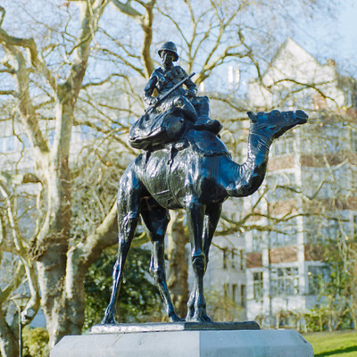 The image features a statue of a man riding on the back of an elephant. The statue is positioned in front of a building, and it appears to be located in a park setting with trees surrounding the area. There are several potted plants placed throughout the scene, adding to the overall ambiance of the location.