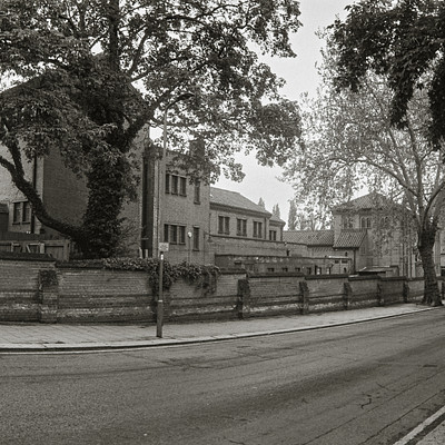 The image is a black and white photo of an empty street with trees on the side. There are several houses lining the street, giving it a residential feel. A few cars can be seen parked along the road, but no one appears to be driving or walking in the scene.