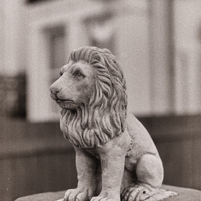 The image is a black and white photo of a lion statue sitting on top of a brick wall. The lion appears to be made of stone or concrete, giving it an old-fashioned appearance. It seems to be the main focus of the scene, with no other objects or people visible in the picture.