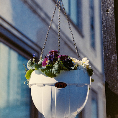 The image features a white bucket hanging from a metal hook outside of a building. Inside the bucket, there is a colorful arrangement of flowers and plants, creating an eye-catching display. The bucket appears to be placed on a window sill or near a wall, adding a touch of greenery and vibrancy to the outdoor space.
