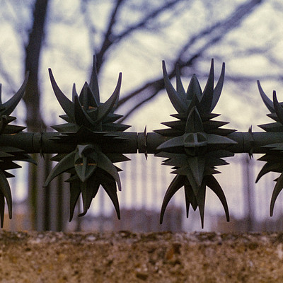 The image features a fence with several spiky plants or flowers attached to it. These plants are arranged in a row, creating an interesting and unique appearance. The fence is located near some trees, adding to the overall ambiance of the scene.