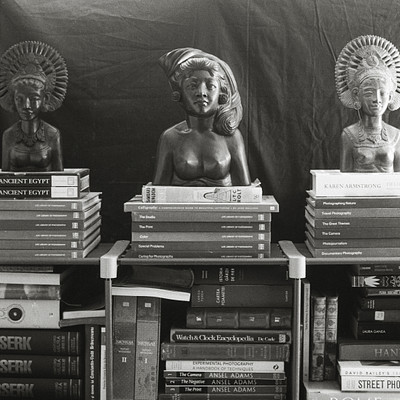 The image features a bookshelf filled with various books, including several art and history books. On top of the bookshelf, there are three statues or busts of women, each positioned at different angles. These sculptures add an interesting visual element to the scene, creating a unique atmosphere in the room.