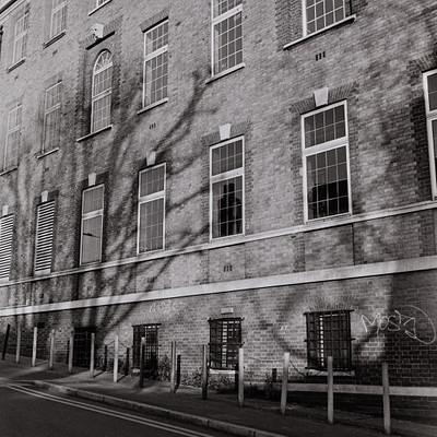 The image is a black and white photo of an old brick building with many windows. There are at least 14 visible windows on the building, some of which have bars covering them. A tree can be seen in front of the building, casting its shadow onto it.