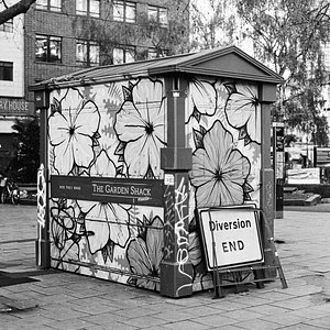 #london #filmphotography #film #hp5 #ilford #mediumformat #analogphotography #analog #120 #120film #645 #homedeveloped #shotonfilm #analogvibes #selfdevelopment #streetphotography #street #nature #naturephotography #bronica #zenzabronica #etrs #bronicaetrs #blackandwhite #bnw