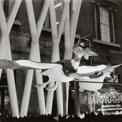 The image is a black and white photo of a large duck statue, which appears to be flying in the air. It has its wings spread out, giving it an impressive appearance. The statue is positioned near some buildings, with one building visible on the left side of the scene and another on the right side.