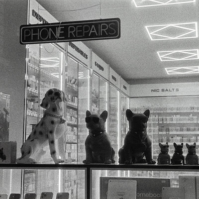 The image is a black and white photo of a store with a display case featuring several stuffed animals. There are five dogs in total, each positioned at different heights within the display case. They appear to be arranged in an appealing manner for customers.