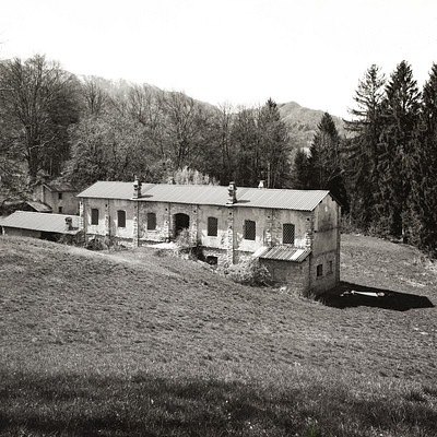 The image is a black and white photo of an old barn with a tin roof, surrounded by trees. It appears to be located in the middle of a field or pasture. There are several chimneys on the building, indicating that it may have been used for heating purposes.