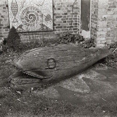 The image is a black and white photo of an old wooden boat or canoe, possibly made from driftwood. It appears to be sitting on the ground in front of a brick building with a window. There are also some potted plants nearby, adding greenery to the scene.